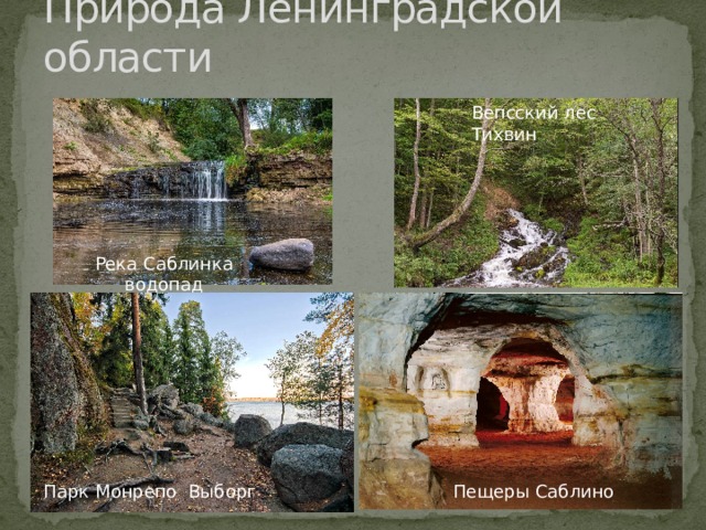 Природа Ленинградской области Вепсский лес Тихвин Река Саблинка водопад Парк Монрепо Выборг Пещеры Саблино 