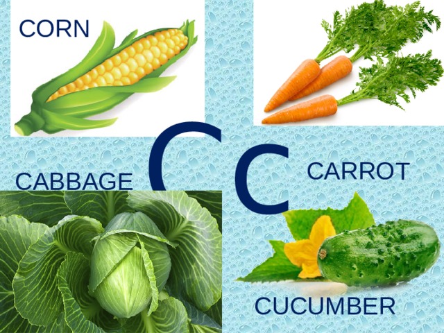 CORN Cc CARROT CABBAGE CUCUMBER 