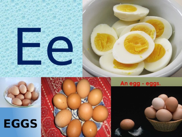 Ee 