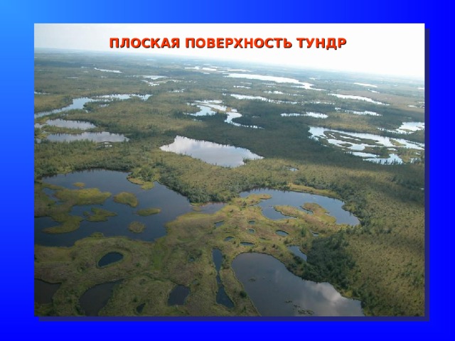ПЛОСКАЯ ПОВЕРХНОСТЬ ТУНДР 