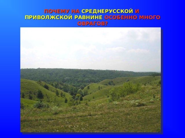 ПОЧЕМУ НА СРЕДНЕРУССКОЙ И  ПРИВОЛЖСКОЙ РАВНИНЕ ОСОБЕННО МНОГО ОВРАГОВ? 