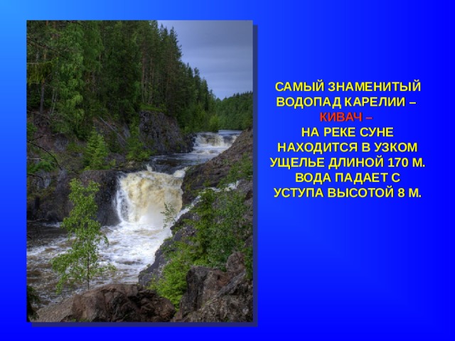 САМЫЙ ЗНАМЕНИТЫЙ ВОДОПАД КАРЕЛИИ –  КИВАЧ –  НА РЕКЕ СУНЕ НАХОДИТСЯ В УЗКОМ УЩЕЛЬЕ ДЛИНОЙ 170 М.  ВОДА ПАДАЕТ С УСТУПА ВЫСОТОЙ 8 М. 