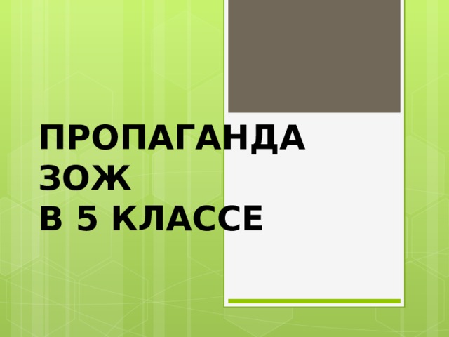 ПРОПАГАНДА ЗОЖ  В 5 КЛАССЕ 