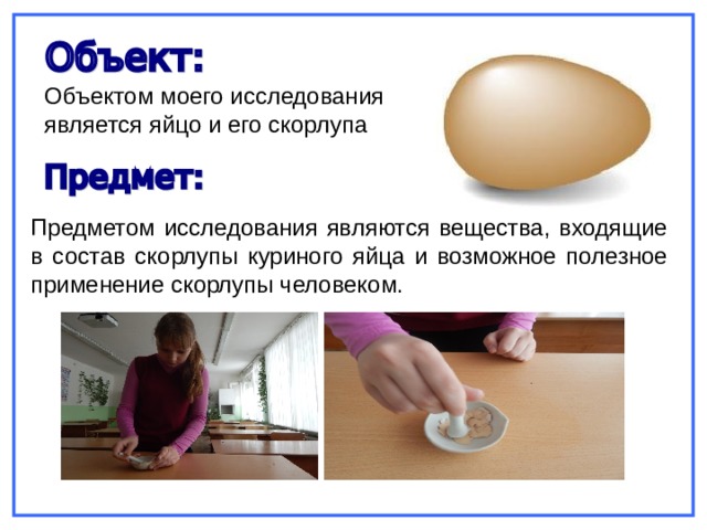 Объектом моего исследования является яйцо и его скорлупа Предметом исследования являются вещества, входящие в состав скорлупы куриного яйца и возможное полезное применение скорлупы человеком. 
