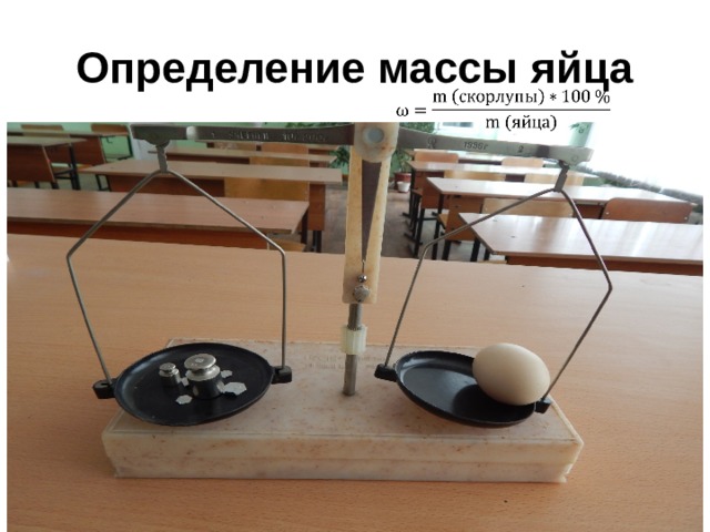    Определение массы яйца   