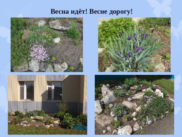 Весна идёт! Весне дорогу! 
