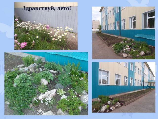 Здравствуй, лето!   