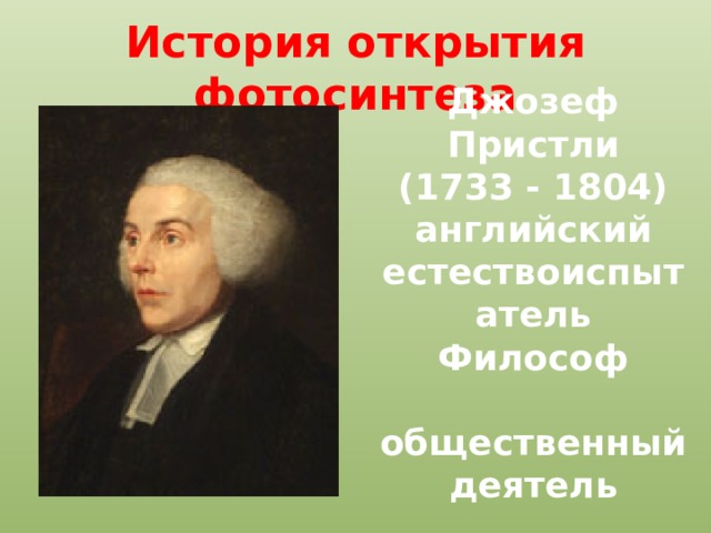 История открытия фотосинтеза Джозеф Пристли (1733 - 1804) английский естествоиспытатель Философ  общественный деятель 