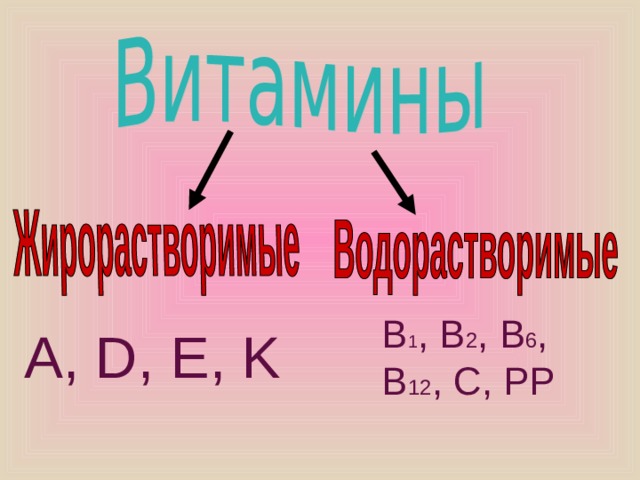 B 1 , B 2 , B 6 , B 12 , C, PP A, D, E, K 