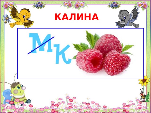 КАЛИНА    