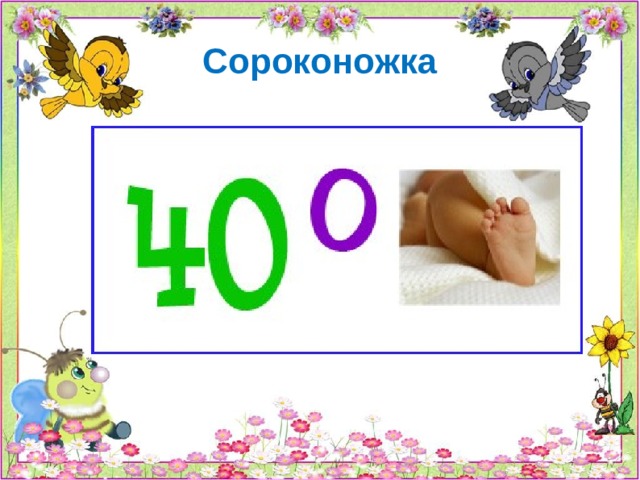 01.09.2019 Сороконожка   