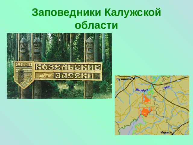 Заповедники Калужской области 