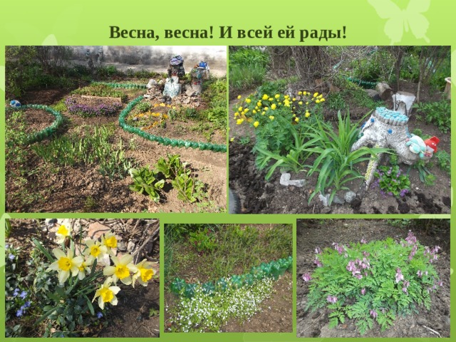 Весна, весна! И всей ей рады! 