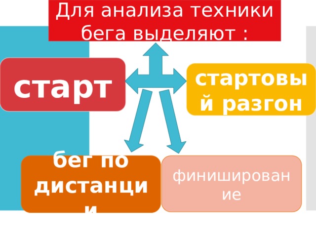 Для анализа техники бега выделяют : старт стартовый разгон бег по дистанции финиширование 
