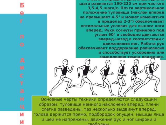  В беге на средние дистанции длина шага равняется 190-220 см при частоте 3,5-4,5 шага/с. Почти вертикальное положение туловища (наклон вперед не превышает 4-5° и может изменяться в пределах 2-3°) обеспечивает оптимальные условия для выноса ноги вперед. Руки согнуты примерно под углом 90° и свободно двигаются вперед-назад в соответствии с движениями ног. Работа рук обеспечивает поддержание равновесия и способствует ускорению или замедлению темпа движения. Бег  п о  дистанции Основные черты техники определяются следующим образом: туловище немного наклонено вперед, плечи слегка разведены, таз несколько выдвинут вперед, голова держится прямо, подбородок опущен, мышцы лица и шеи не напряжены, движения рук и ног широки и свободны. 