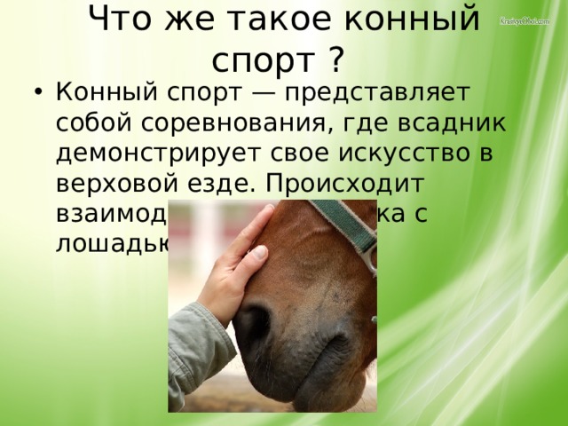 Что же такое конный спорт ? Конный спорт — представляет собой соревнования, где всадник демонстрирует свое искусство в верховой езде. Происходит взаимодействие человека с лошадью. 
