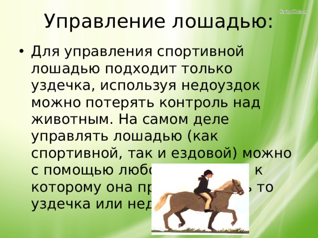 Управление лошадью: Для управления спортивной лошадью подходит только уздечка, используя недоуздок можно потерять контроль над животным. На самом деле управлять лошадью (как спортивной, так и ездовой) можно с помощью любого средства, к которому она приучена, будь то уздечка или недоуздок. 