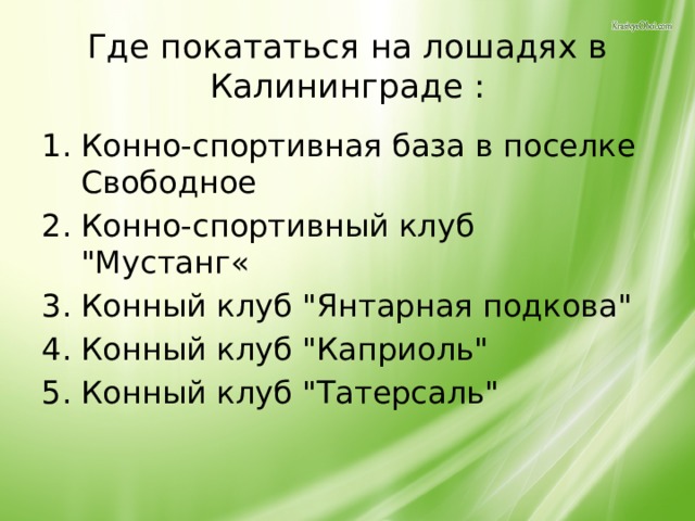 Где покататься на лошадях в Калининграде : Конно-спортивная база в поселке Свободное Конно-спортивный клуб 
