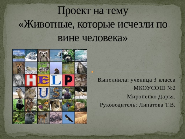 Проект на тему  «Животные, которые исчезли по вине человека»   Выполнила: ученица 3 класса МКОУСОШ №2 Мироненко Дарья. Руководитель: Липатова Т.В. 