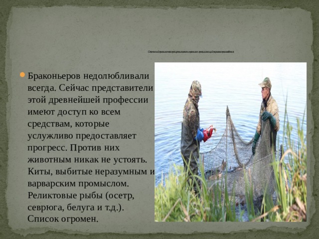           Охотничий промысел в запрещенных зонах и промысел, превышающий порог воспроизведения. Браконьеров недолюбливали всегда. Сейчас представители этой древнейшей профессии имеют доступ ко всем средствам, которые услужливо предоставляет прогресс. Против них животным никак не устоять. Киты, выбитые неразумным и варварским промыслом. Реликтовые рыбы (осетр, севрюга, белуга и т.д.). Список огромен. 