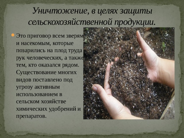 Уничтожение, в целях защиты сельскохозяйственной продукции. Это приговор всем зверям и насекомым, которые позарились на плод труда рук человеческих, а также тем, кто оказался рядом. Существование многих видов поставлено под угрозу активным использованием в сельском хозяйстве химических удобрений и препаратов. 