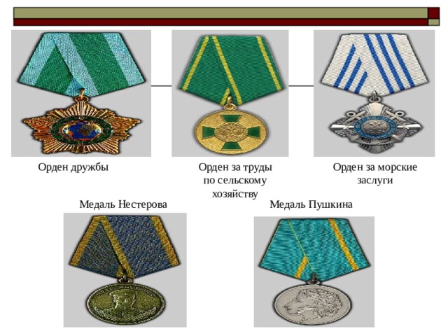 Орден дружбы Орден за морские заслуги Орден за труды по сельскому хозяйству Медаль Нестерова Медаль Пушкина 