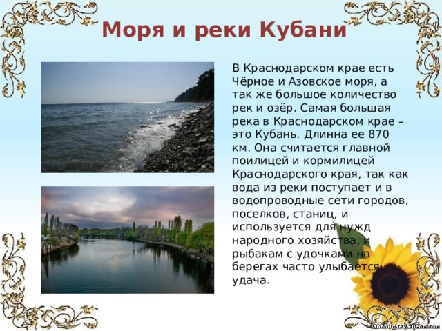  Моря и реки Кубани   В Краснодарском крае есть Чёрное и Азовское моря, а так же большое количество рек и озёр. Самая большая река в Краснодарском крае – это Кубань. Длинна ее 870 км. Она считается главной поилицей и кормилицей Краснодарского края, так как вода из реки поступает и в водопроводные сети городов, поселков, станиц, и используется для нужд народного хозяйства, и рыбакам с удочками на берегах часто улыбается удача. 