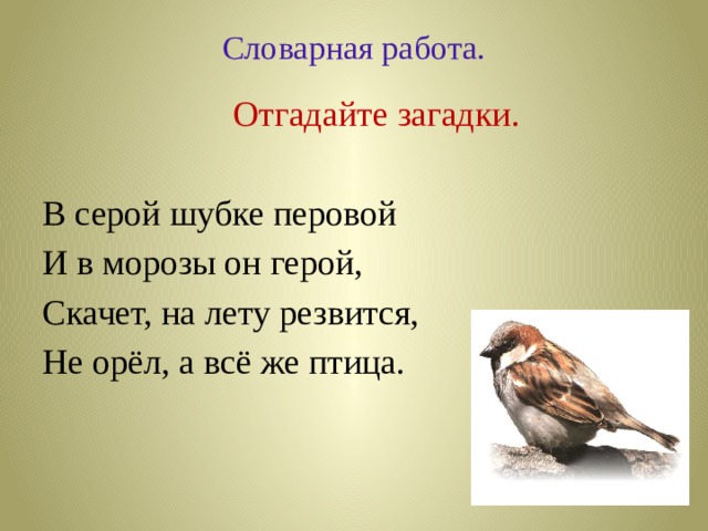 Словарная работа.    Отгадайте загадки. В серой шубке перовой И в морозы он герой, Скачет, на лету резвится, Не орёл, а всё же птица. 