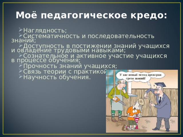 Моё педагогическое кредо: Наглядность; Систематичность и последовательность знаний; Доступность в постижении знаний учащихся и овладение трудовыми навыками; Сознательное и активное участие учащихся в процессе обучения; Прочность знаний учащихся; Связь теории с практикой и жизнью; Научность обучения. 
