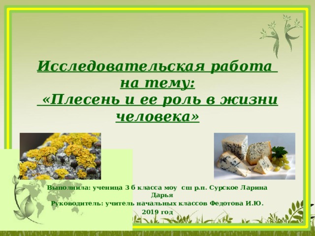 Исследовательская работа на тему:  «Плесень и ее роль в жизни человека» Выполнила: ученица 3 б класса моу сш р.п. Сурское Ларина Дарья Руководитель: учитель начальных классов Федотова И.Ю. 2019 год 