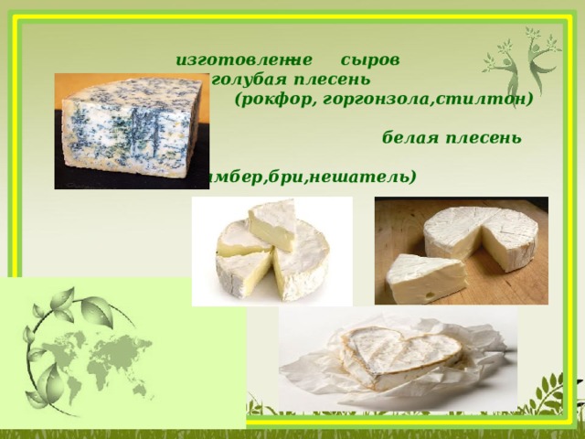  изготовление сыров  голубая плесень  (рокфор, горгонзола,стилтон)   белая плесень  (камамбер,бри,нешатель)  