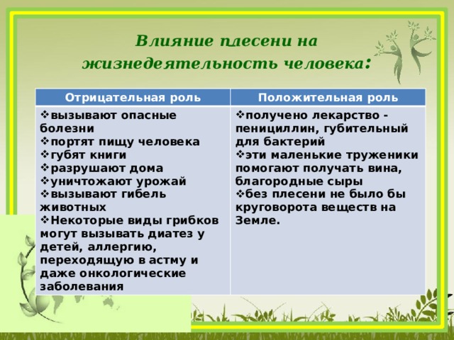  Влияние плесени на жизнедеятельность человека :    Отрицательная роль Положительная роль вызывают опасные болезни портят пищу человека губят книги разрушают дома уничтожают урожай вызывают гибель животных Некоторые виды грибков могут вызывать диатез у детей, аллергию, переходящую в астму и даже онкологические заболевания получено лекарство - пенициллин, губительный для бактерий эти маленькие труженики помогают получать вина, благородные сыры без плесени не было бы круговорота веществ на Земле.  