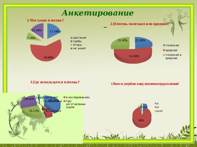 Анкетирование     