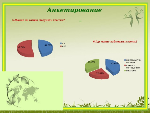 Анкетирование     