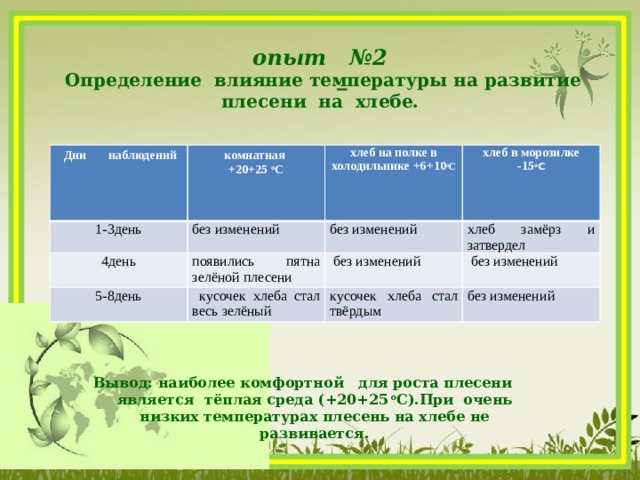 опыт №2   Определение влияние температуры на развитие плесени на  хлебе.       Дни наблюдений комнатная 1-3день +20+25 о С без изменений 4день хлеб на полке в холодильнике +6+10 о С появились пятна зелёной плесени 5-8день без изменений хлеб в морозилке  кусочек хлеба стал весь зелёный хлеб замёрз и затвердел -15 о С  без изменений  без изменений кусочек хлеба стал твёрдым  без изменений Вывод: наиболее комфортной для роста плесени является тёплая среда (+20+25 о С).При очень низких температурах плесень на хлебе не развивается.  