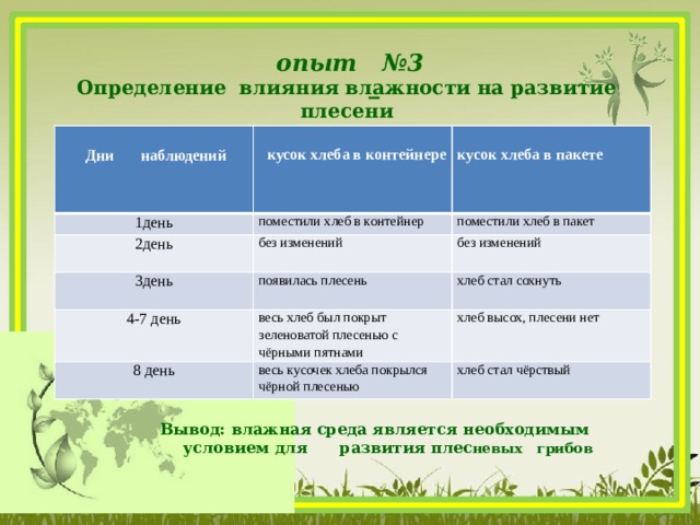 опыт №3   Определение влияния влажности на развитие плесени         Дни наблюдений 1день  кусок хлеба в контейнере поместили хлеб в контейнер  2день кусок хлеба в пакете без изменений 3день поместили хлеб в пакет появилась плесень 4-7 день без изменений весь хлеб был покрыт зеленоватой плесенью с чёрными пятнами 8 день хлеб стал сохнуть весь кусочек хлеба покрылся чёрной плесенью хлеб высох, плесени нет хлеб стал чёрствый Вывод: влажная среда является необходимым условием для развития плес невых грибов 
