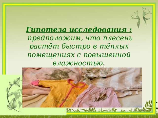 Гипотеза исследования :  предположим, что плесень растёт быстро в тёплых помещениях с повышенной влажностью .   