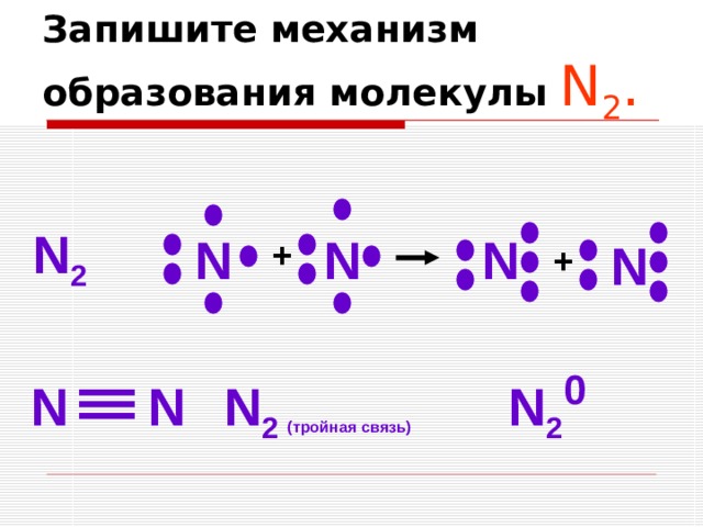 Запишите механизм образования молекулы  N 2 .  N 2 N N N N + + N 2 0 N N N 2  (тройная связь) 