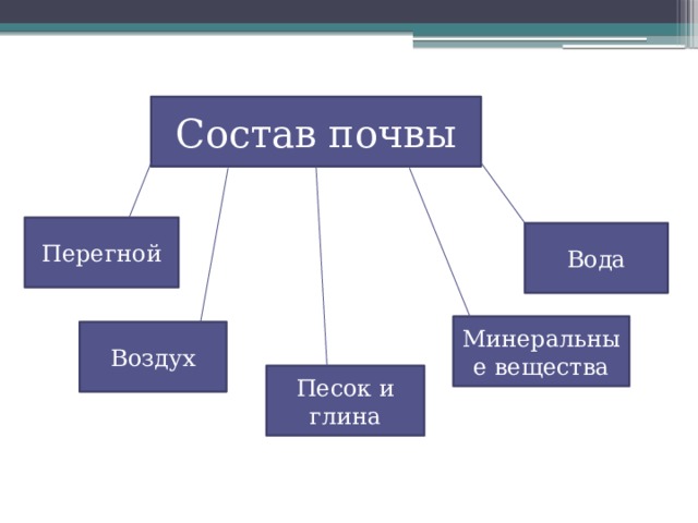 Состав почвы Перегной Вода Минеральные вещества Воздух Песок и глина 
