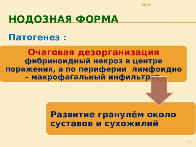 9/6/19 Нодозная форма Патогенез :   Очаговая дезорганизация фибриноидный некроз в центре поражения, а по периферии лимфоидно – макрофагальный инфильтрат Развитие гранулём около суставов и сухожилий 18 