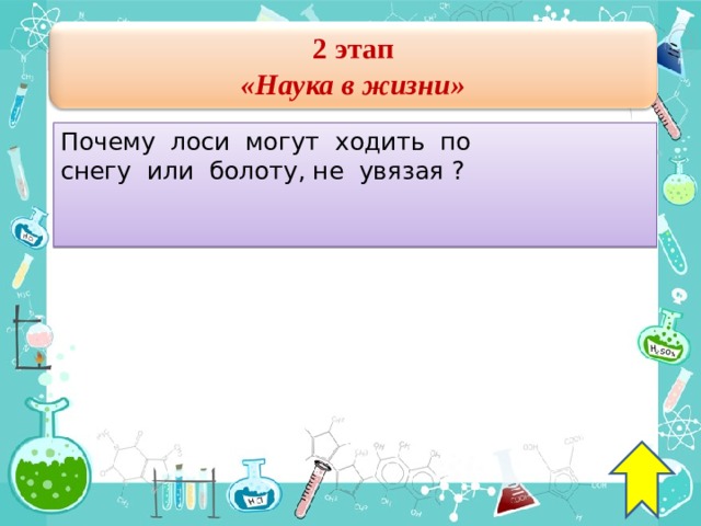 2 этап « Наука в жизни » Почему  лоси  могут  ходить  по  снегу  или  болоту, не  увязая ?    23 