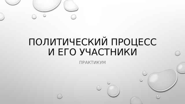 ПОЛИТИЧЕСКИЙ ПРОЦЕСС И ЕГО УЧАСТНИКИ ПРАКТИКУМ 