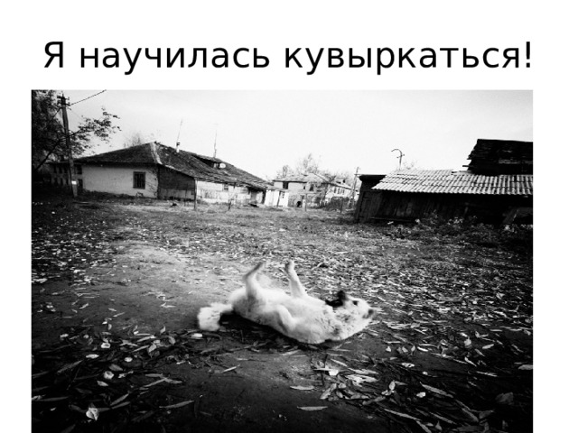 Я научилась кувыркаться! 