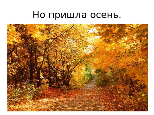 Но пришла осень. 