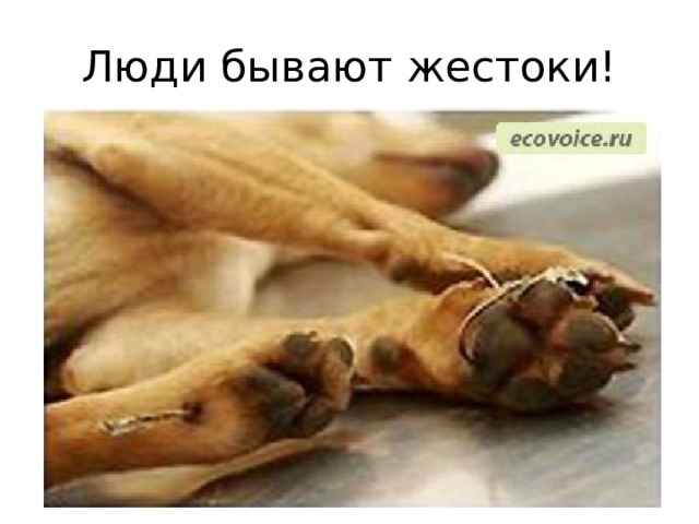 Люди бывают жестоки! 