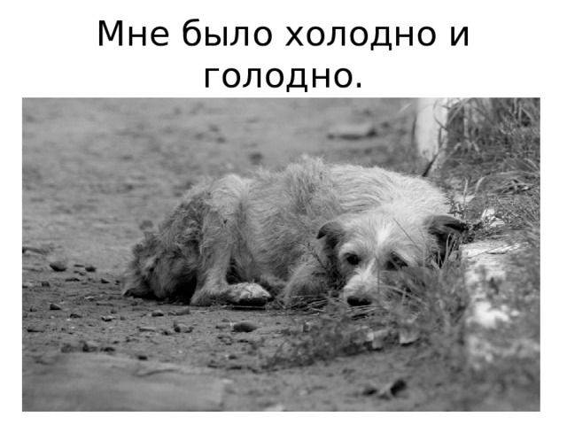 Мне было холодно и голодно. 