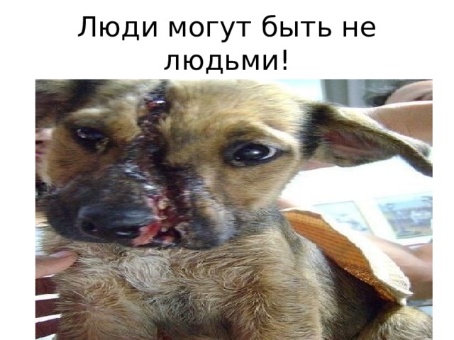 Люди могут быть не людьми! 