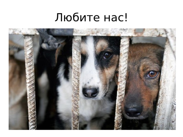 Любите нас! 