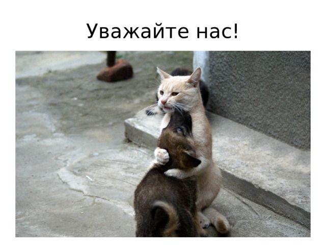 Уважайте нас! 