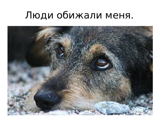 Люди обижали меня. 
